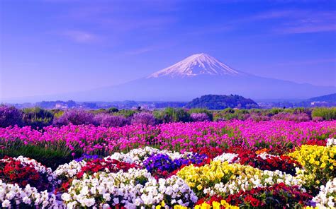 1332352 2560x1600 Mount Fuji Full Hd Background
