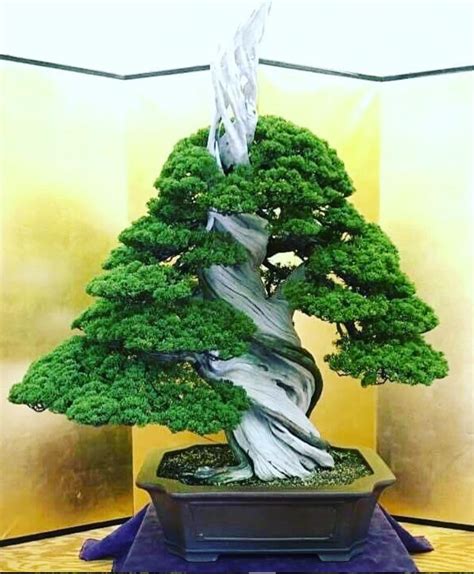 How To Diy Designs Beautiful And Unique A Bonsai Tree Lily Fashion Style