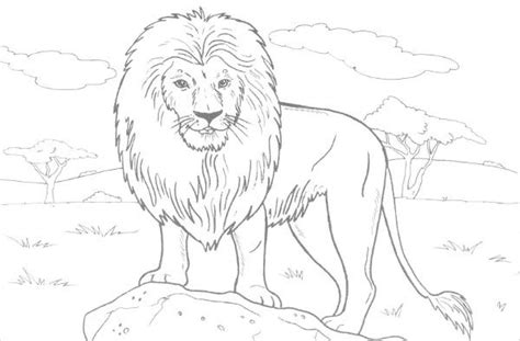 The animal sets include a giraffe, a lion, a zebra, an elephant, a hyena, an impala, a cheetah, a baboon, and a rhinoceros. 8+ Jungle Coloring Pages - PDF, PNG | Free & Premium Templates