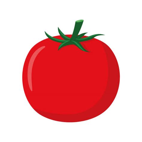 132300 Tomato Illustrations Royalty Free Vector Graphics And Clip Art