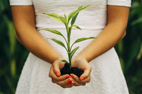 8 Things People With A Green Thumb Do Different Sheknows