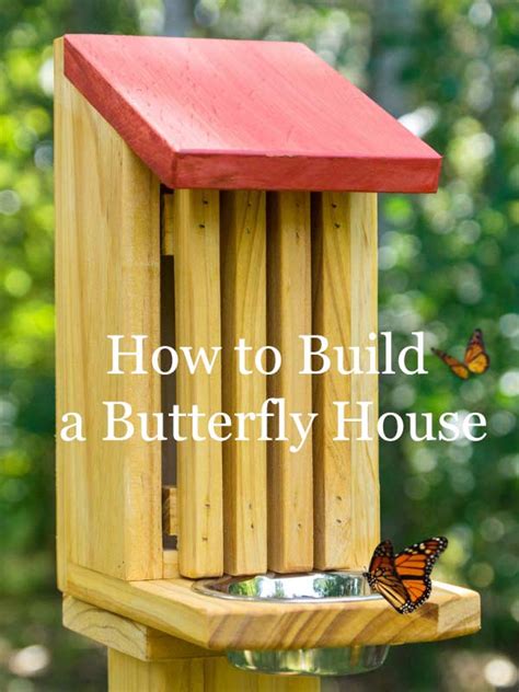 How To Build A Butterfly House Whether You Simply Want To Watch Them