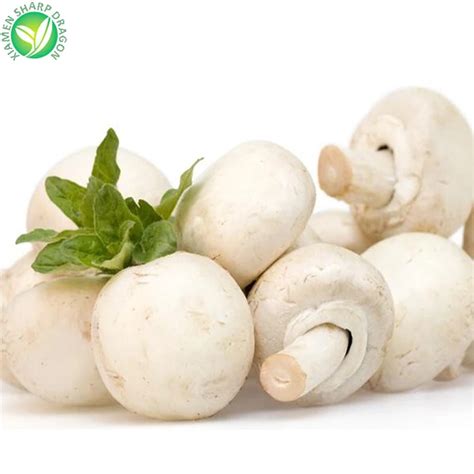 Frozen Iqf White Champginon Button Mushroom Spawn Agaricus Bisporus