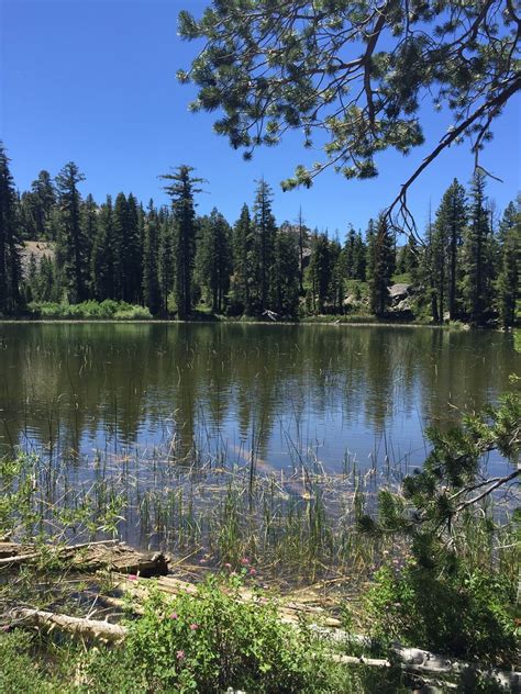Lily Lake Trail California Alltrails
