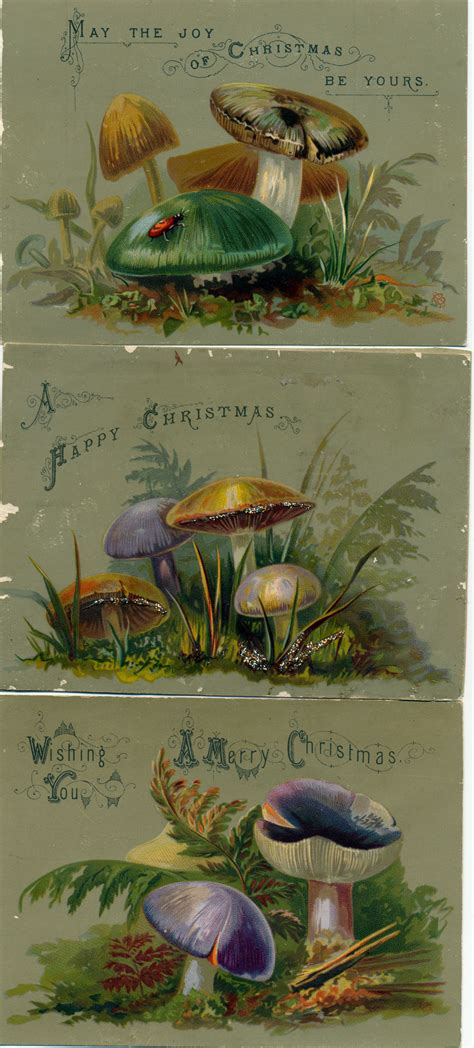 Little mushroom cards, glasgow, united kingdom. Victorian mushroom Christmas cards. Because mushrooms are so Christmas. | Victorian christmas ...