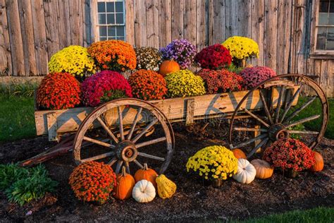 Image Result For Fall Backdrop Fall Decorations Porch Farmhouse Fall