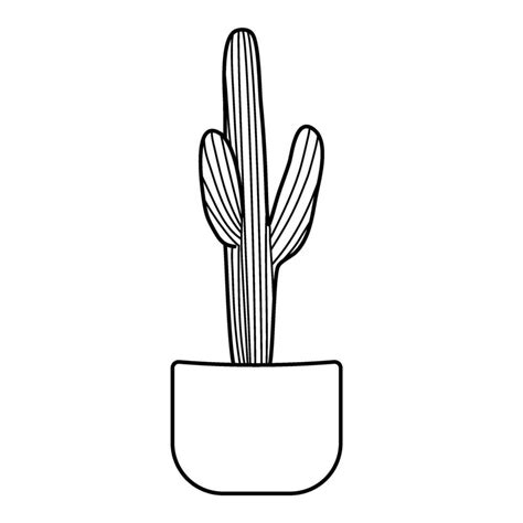 Cactus Line Art Cacti Desert Illustration Hand Drawn 25771272 Vector