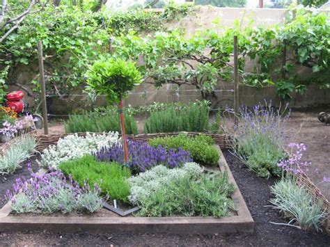 How To Make An Herbal Knot Garden Herb Garden Design Garden Planning