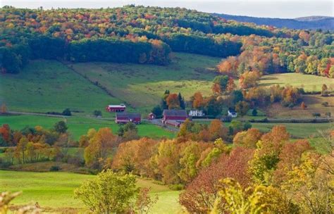 Scenic Drive Through Rural New York