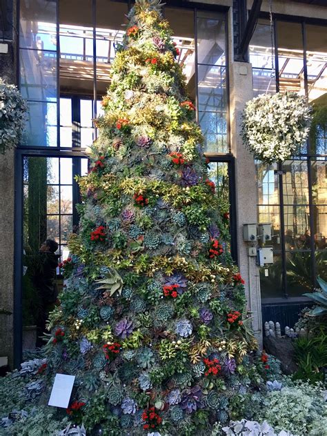 1001 longwood road kennett square, pa 19348. Christmas Tree. Longwood gardens, PA : succulents