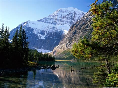 Desktop Wallpapers Natural Backgrounds Mount Edith Cavell Jasper