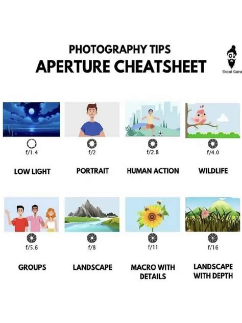 Photography Cheat Sheet Pdf