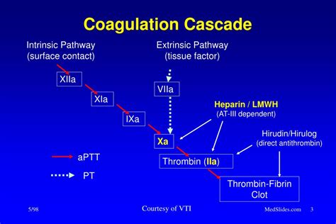 Ppt Low Molecular Weight Heparin And Unfractionated Heparin