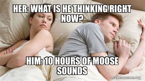 Her What Is He Thinking Right Now Him 10 Hours Of Moose Sounds