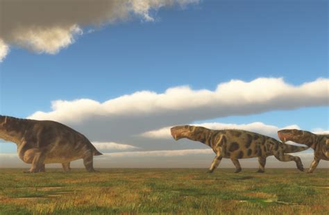 The Late Permian Mass Extinction Explained Discover Magazine