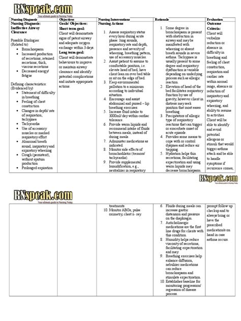 Check spelling or type a new query. Asthma Nursing Care Plan _NCP_ - Ineffective Airway ...