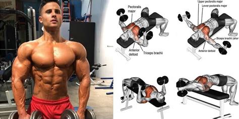 Dumbbell Workouts For Chest Igo Workout