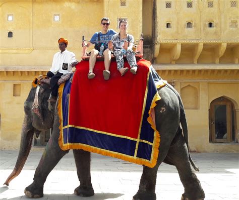 The Elephant Ride Up To Amber Fort Photo