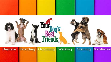 Your Dog's Best Friends