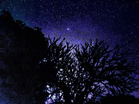 International Dark Sky Sanctuary — Visit Pitcairn Open To Explore