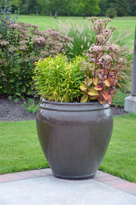 Plants That Can Grow In Urns Information On Garden Urn Planting