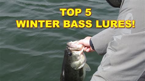 5 Best Lures For Winter Bass Fishing Big Fish Baits Bass Fishing