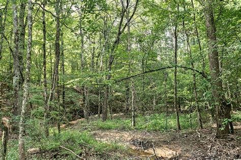 170 Acres Timber Recreational Hunting Land For Sale North La