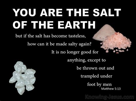 Matthew 5 13 You Are The Salt Of The Earth Black