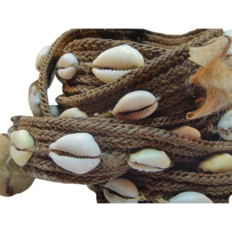 Cowrie Shells Png - Free Logo Image png image