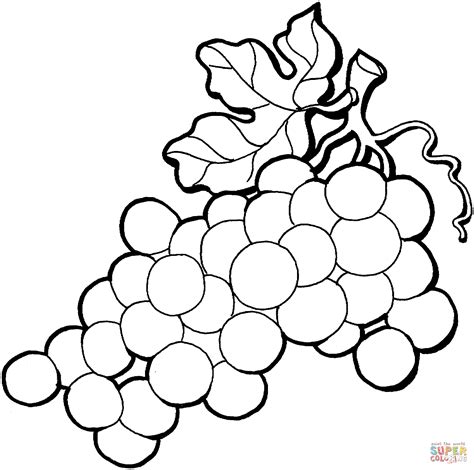 Grapes coloring pages to download and print for free. 301 Moved Permanently