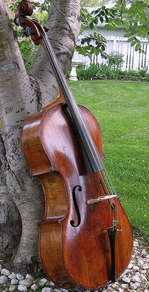 A Cello Leaning Against A Tree In The Grass