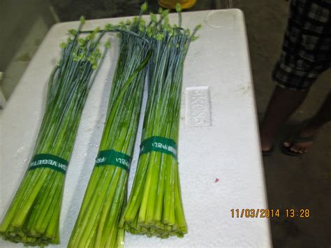 We did not find results for: PT HORTI BIMA INTERNATIONAL