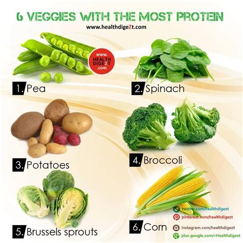 6 Veggies With The Most Protein Veggies With Protein Veggies Food