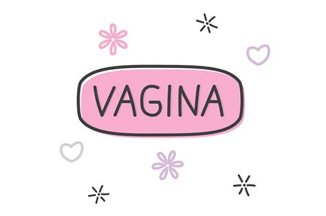 5 Tipos De Vagina Pra Você Conhecer Kira
