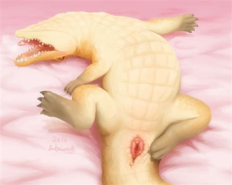 Rule 34 1girls 2016 Alligator Animal Genitalia Cloaca Crocodilian