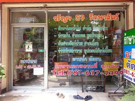 จรัญฯ 57 รักษาสัตว์ Thailand Pet Center