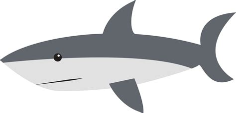 Shark Cartoon Drawing Clip Art Sharks Png Download 23321124 Free