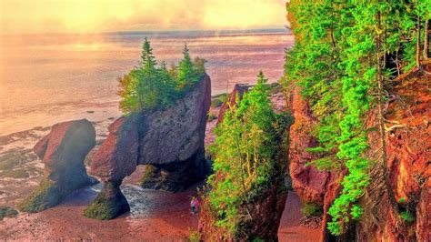 5 Five 5 Bay Of Fundy Canada
