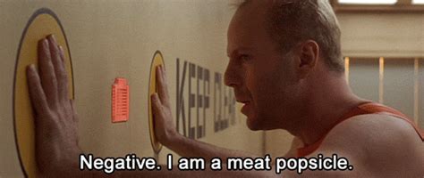 Sir, are you classified as human? The Fifth Element (1997) Quote (About posicle meat human gifs) - CQ