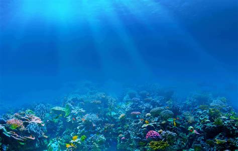 Live Wallpaper Hd Full Sea Ocean Underwater Rays Modern 3d Tiles