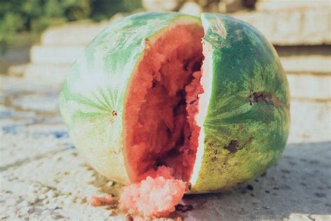 6 Signs That Your Watermelon Has Gone Bad