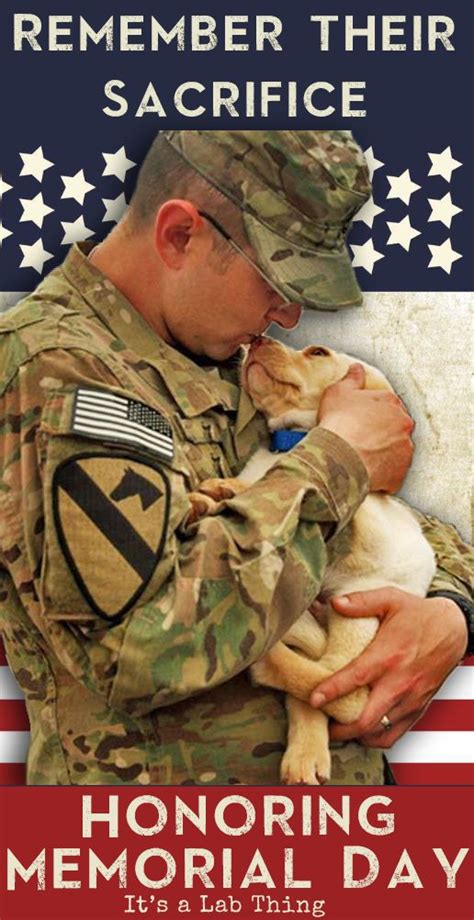 Love My Dog Puppy Love Lucky Puppy Military Working Dogs Military