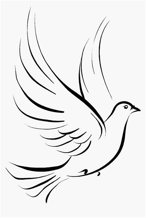 Columbidae Funeral Symbols As Drawing Doves Clipart Holy Spirit Clipart Doves HD Png Download