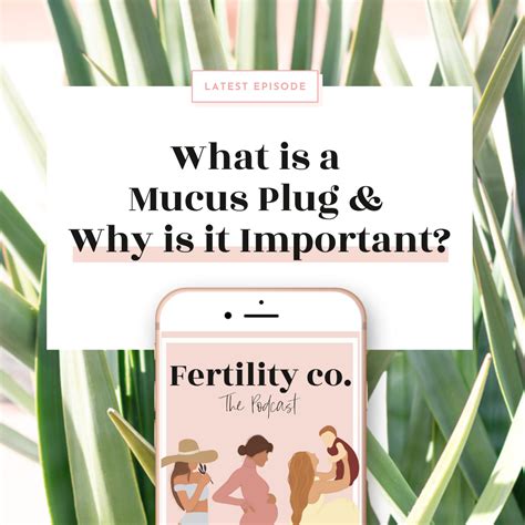 What Is A Mucus Plug And Why Is It Important Fertility Co