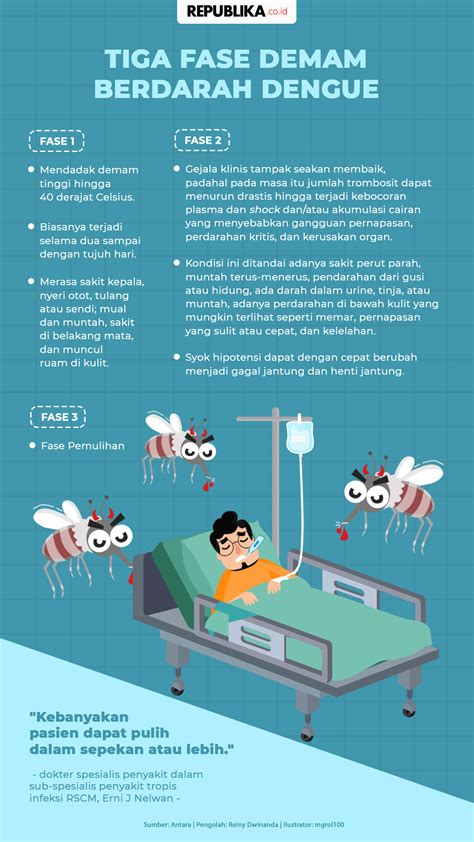 Infografis Tiga Fase Demam Berdarah Dengue Republika Online