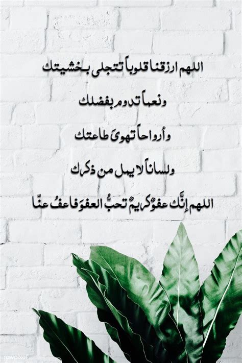 اللهم اجعل هذا الحساب صدقه جاريه و شفيعاً لنا ولأهلنا ولكل من تابعه و زاره و ساهم في نشره يا غفور يا رحيم. Pin by Tahani Meshaal on دعاء in 2020 | Plant leaves, Plants