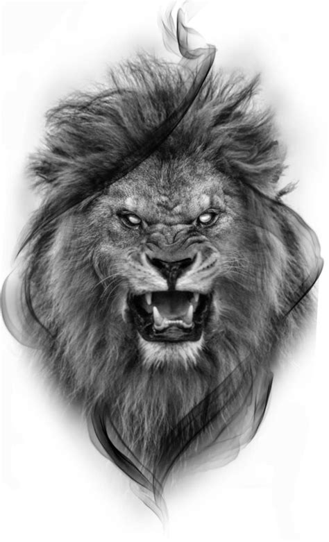 18 Cool Lion Drawings Courtneyaya