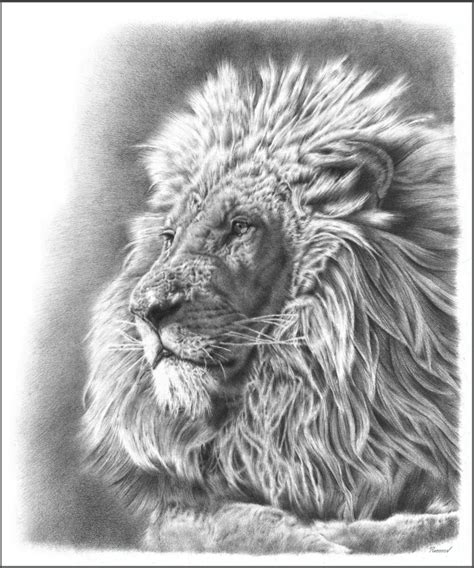 Watch the video of pencil drawing for beginners step:1 first you have to draw a. 85 Simple And Easy Pencil Drawings Of Animals For Every Beginner