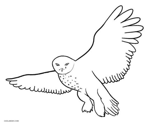 Snow Owls Free Coloring Pages