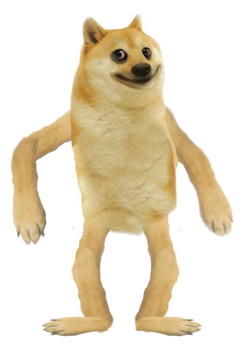 I Made A Friend Rdogelore Ironic Doge Memes Know Your Meme